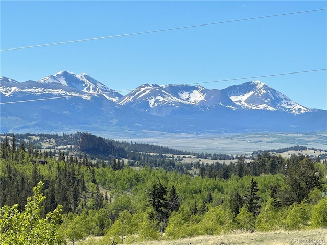 2418 Wells Fargo Cir, Jefferson, CO 80456 - photo 45