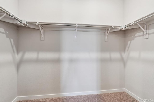 14424 Heritage Dr, Mead, CO 80504 - spacious closet featuring carpet flooring