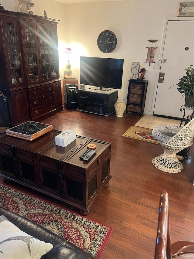 living room featuring hardwood / wood-style flooring