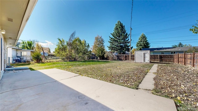 view of yard with a patio and a shed