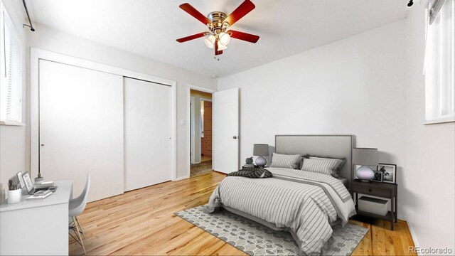 bedroom with hardwood / wood-style flooring and ceiling fan