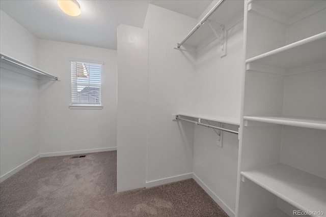 spacious closet featuring carpet floors and visible vents