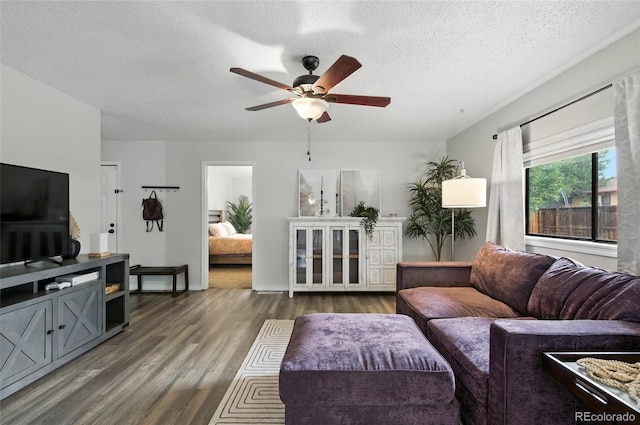 50 Forsyth Dr, Longmont, CO 80504 - photo 4