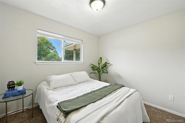 50 Forsyth Dr, Longmont, CO 80504 - photo 20
