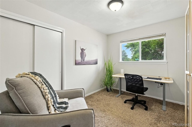 50 Forsyth Dr, Longmont, CO 80504 - photo 22