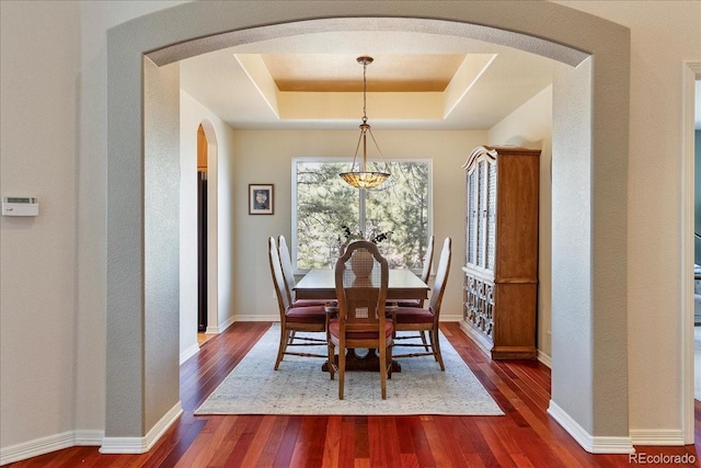 dining room featuring a raised ceiling, baseboards, and hardwood / wood-style flooring