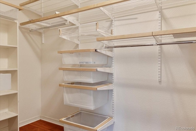 spacious closet featuring wood finished floors