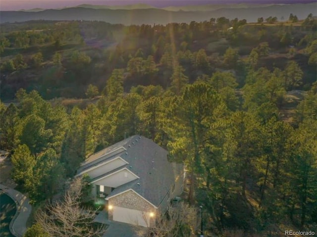 aerial view at dusk featuring a view of trees