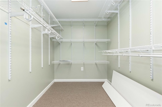 walk in closet with carpet floors