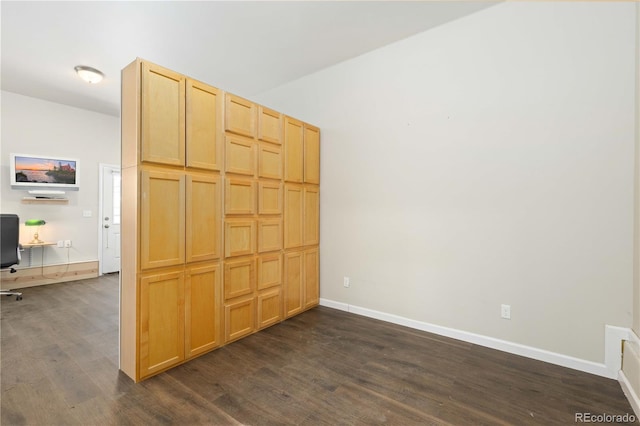 interior space with dark wood-type flooring