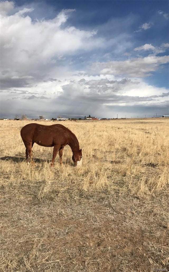 48155 E 56th Ave, Bennett, CO 80102 - view of nature featuring rural landscape