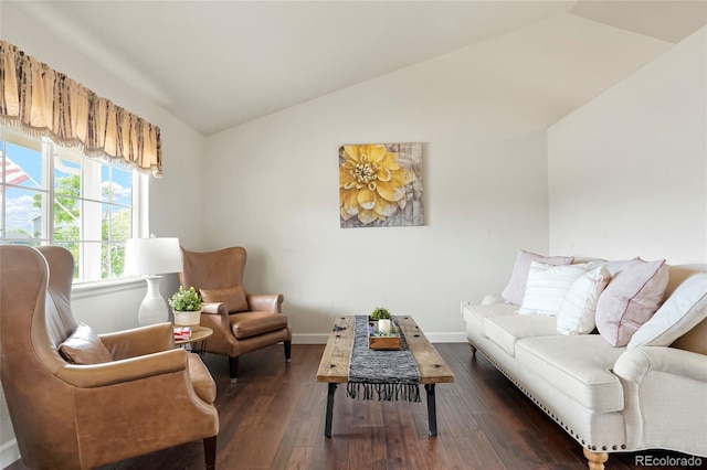 4873 Eckert St, Castle Rock, CO 80104 - living room with lofted ceiling, dark wood-style floors, and baseboards