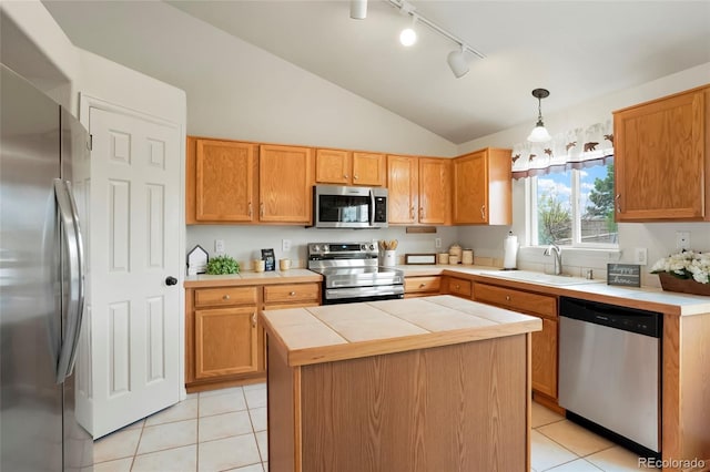 4873 Eckert St, Castle Rock, CO 80104 - kitchen with stainless steel appliances, a sink, rail lighting, light tile patterned flooring, and lofted ceiling