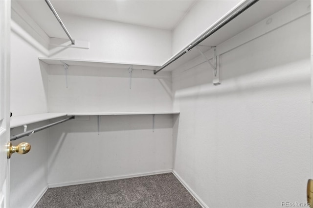 13245 Shoshone St, Denver, CO 80234 - spacious closet featuring carpet floors