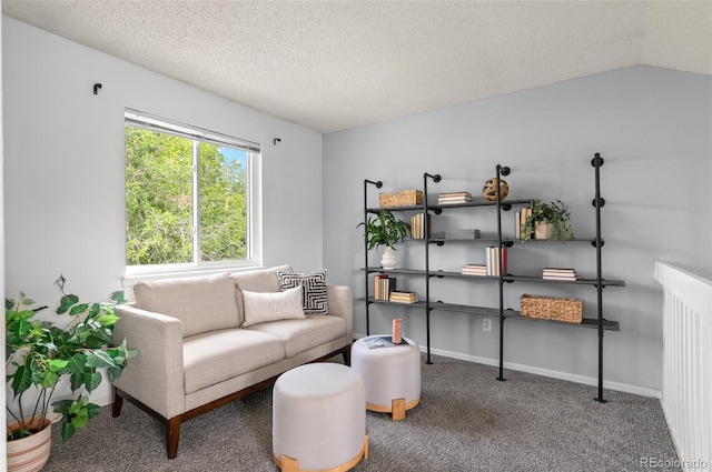13245 Shoshone St, Denver, CO 80234 - living area featuring a textured ceiling, carpet flooring, and baseboards