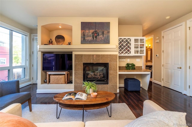 living room with baseboards, wood finished floors, and a fireplace