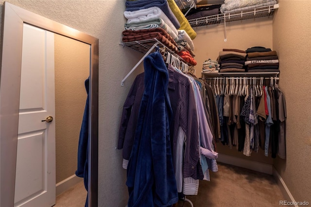 walk in closet with carpet flooring