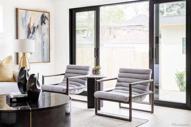 425 S Pearl St, Denver, CO 80209 - view of living area