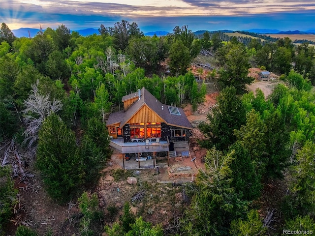 1023 Raven Way, Como, CO 80432 - photo 29