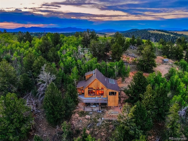 1023 Raven Way, Como, CO 80432 - photo 30