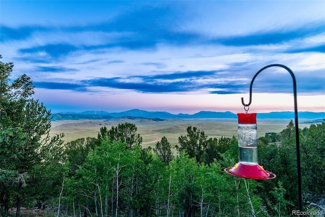 1023 Raven Way, Como, CO 80432 - photo 38