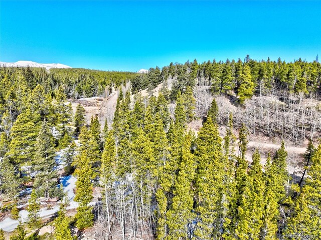 336 Venture Rd, Fairplay, CO 80440 - photo 25
