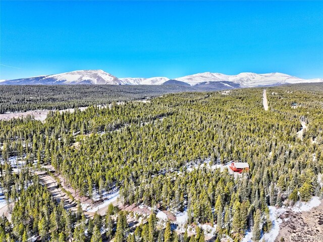 336 Venture Rd, Fairplay, CO 80440 - photo 27
