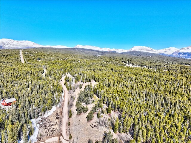 336 Venture Rd, Fairplay, CO 80440 - photo 28