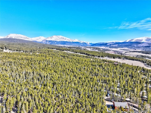 336 Venture Rd, Fairplay, CO 80440 - photo 29