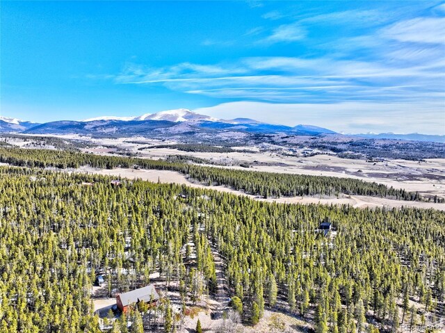 336 Venture Rd, Fairplay, CO 80440 - photo 30