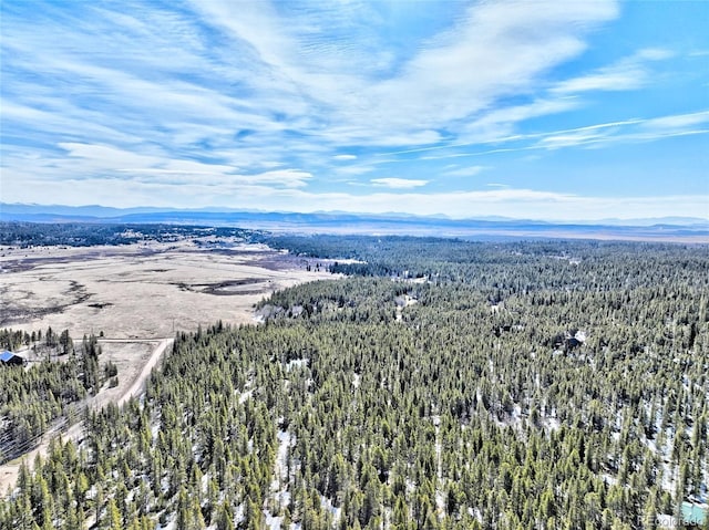 336 Venture Rd, Fairplay, CO 80440 - photo 31