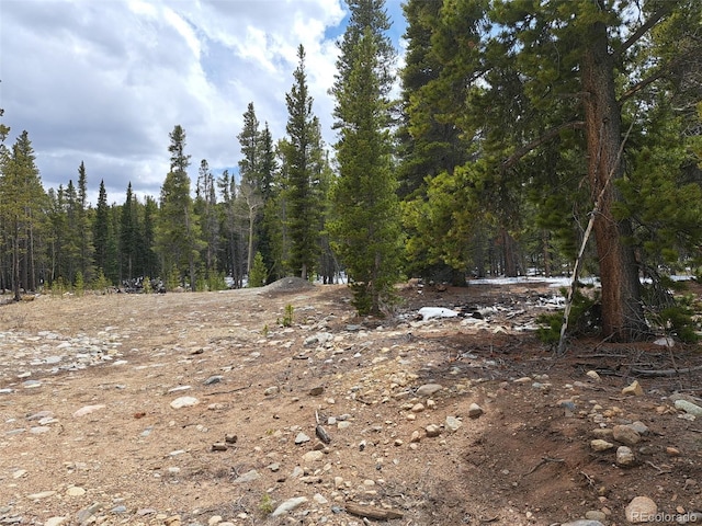 336 Venture Rd, Fairplay, CO 80440 - photo 32