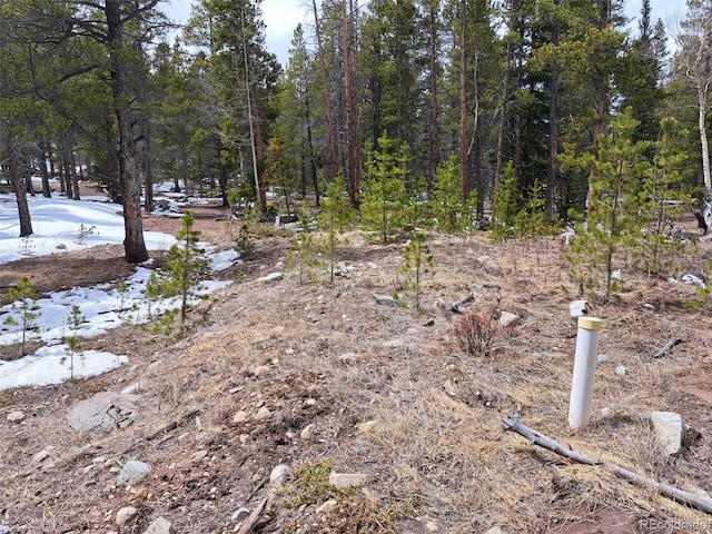 336 Venture Rd, Fairplay, CO 80440 - photo 35