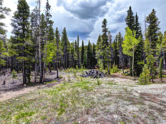 336 Venture Rd, Fairplay, CO 80440 - photo 2