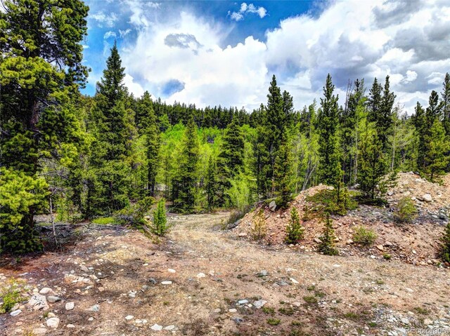 336 Venture Rd, Fairplay, CO 80440 - photo 4