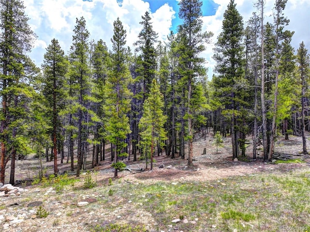 336 Venture Rd, Fairplay, CO 80440 - photo 5