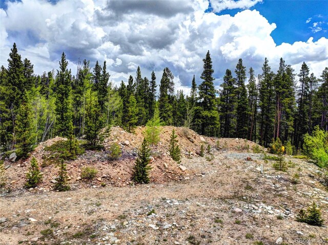 336 Venture Rd, Fairplay, CO 80440 - photo 6