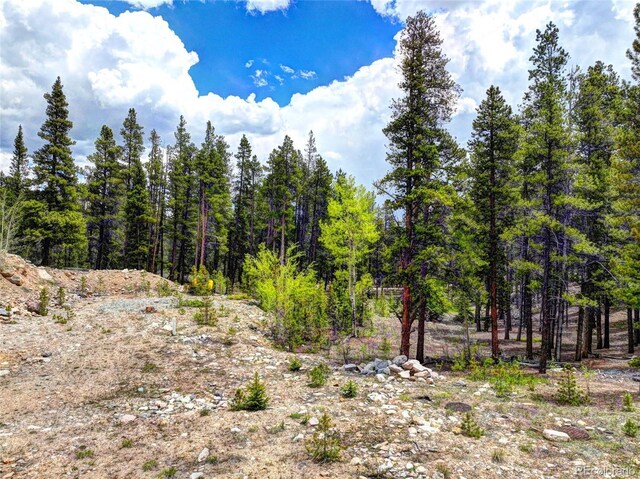 336 Venture Rd, Fairplay, CO 80440 - photo 7