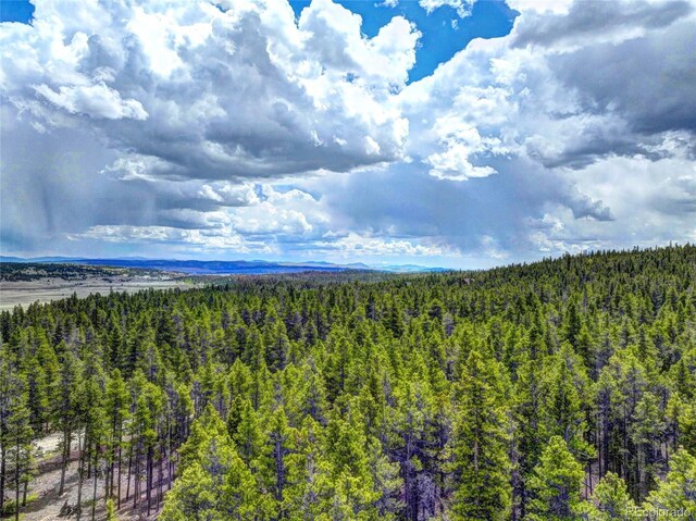 336 Venture Rd, Fairplay, CO 80440 - photo 8