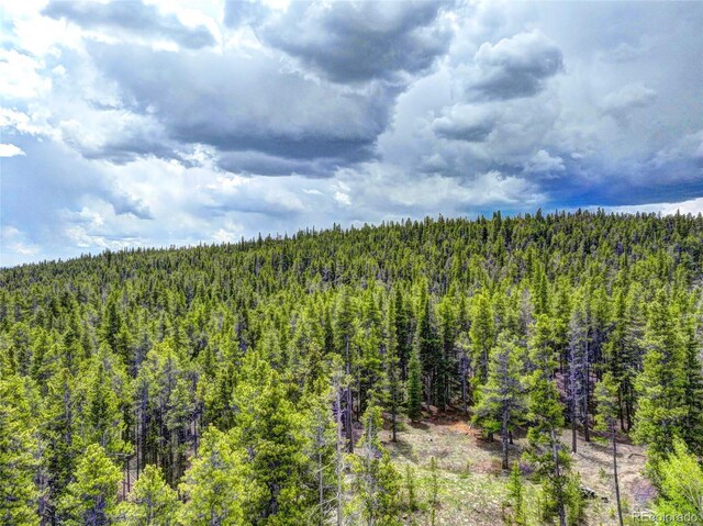 336 Venture Rd, Fairplay, CO 80440 - photo 9