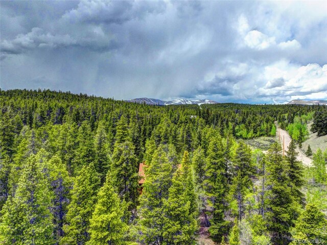 336 Venture Rd, Fairplay, CO 80440 - photo 10