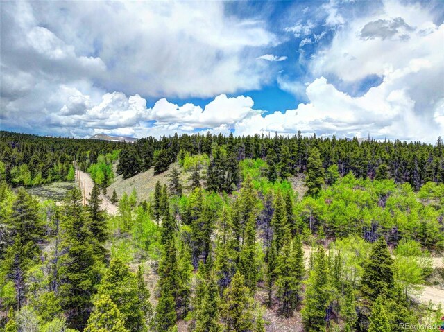 336 Venture Rd, Fairplay, CO 80440 - photo 11
