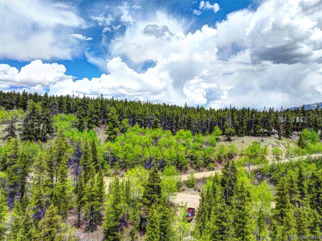336 Venture Rd, Fairplay, CO 80440 - photo 12