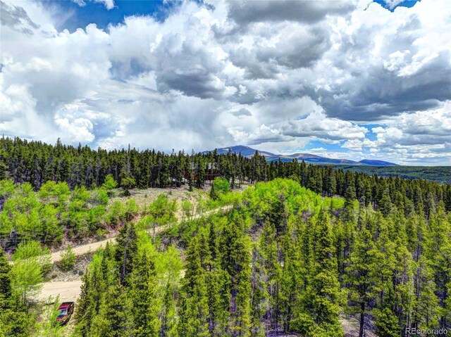 336 Venture Rd, Fairplay, CO 80440 - photo 13