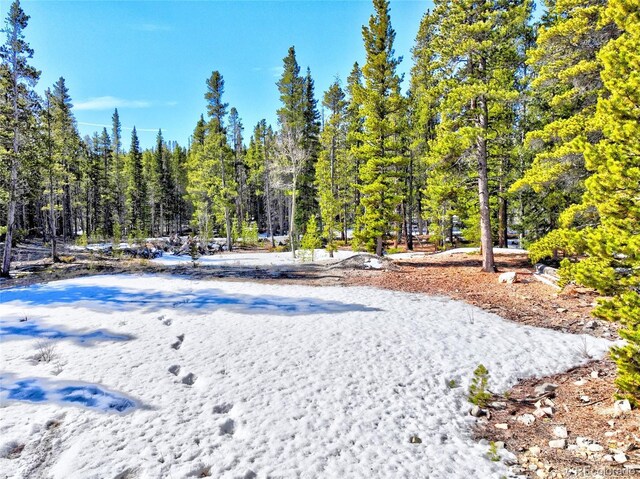 336 Venture Rd, Fairplay, CO 80440 - photo 14