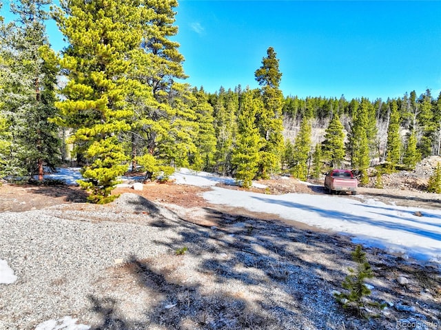 336 Venture Rd, Fairplay, CO 80440 - photo 16
