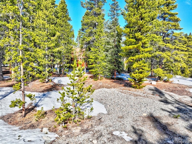 336 Venture Rd, Fairplay, CO 80440 - photo 17