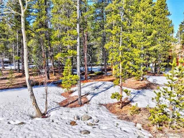 336 Venture Rd, Fairplay, CO 80440 - photo 18