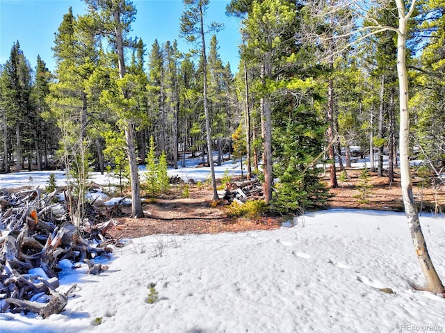 336 Venture Rd, Fairplay, CO 80440 - photo 19