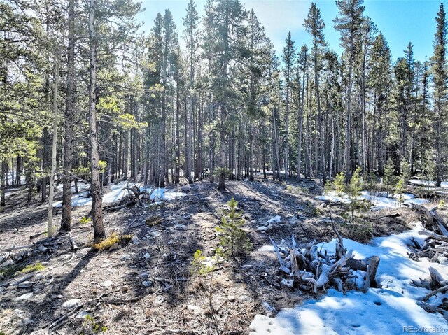 336 Venture Rd, Fairplay, CO 80440 - photo 20